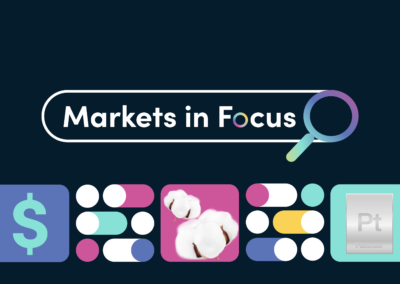 Risk bid Trump wins in Republican Red Wave