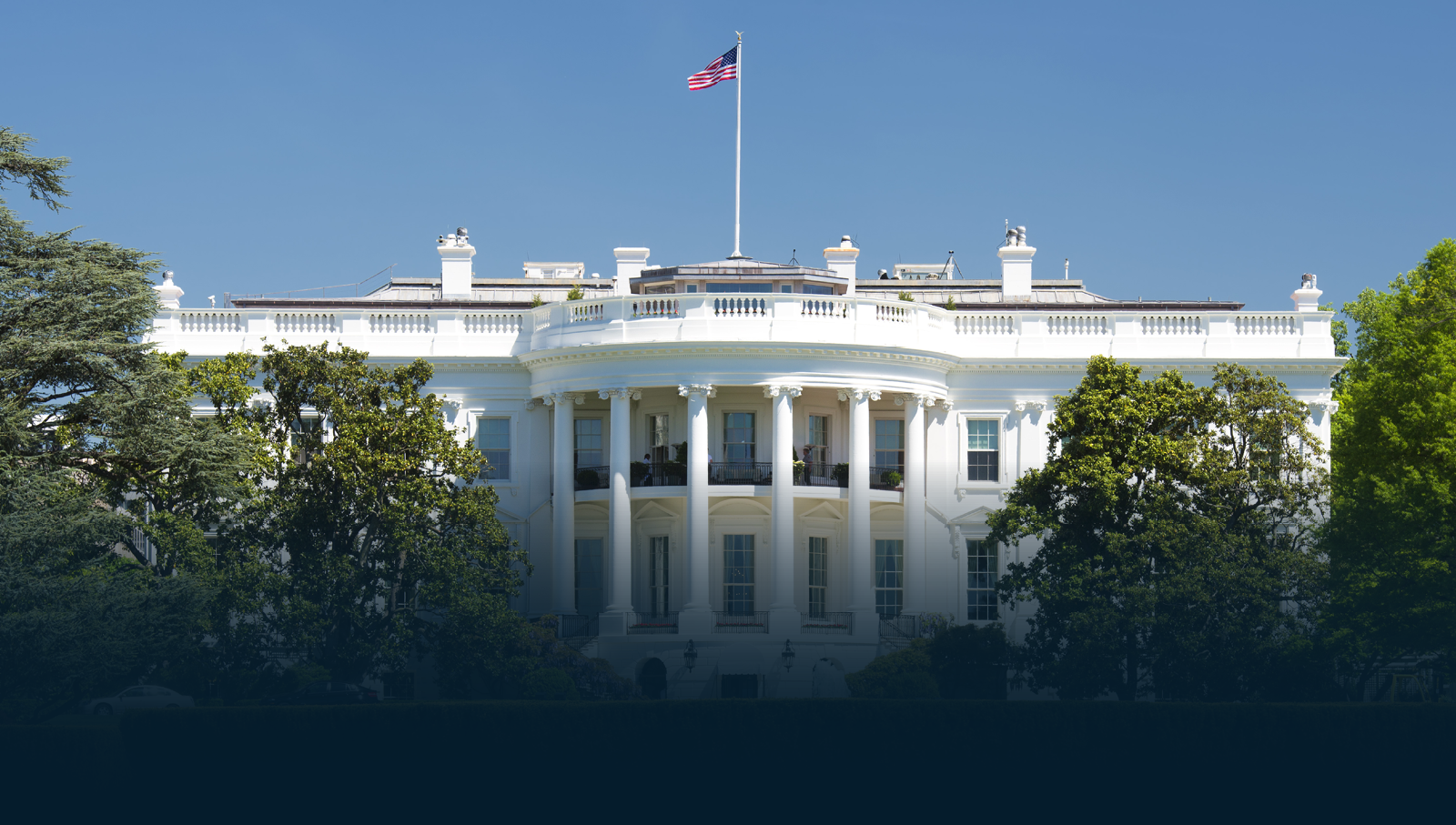 show me the hedgemony banner