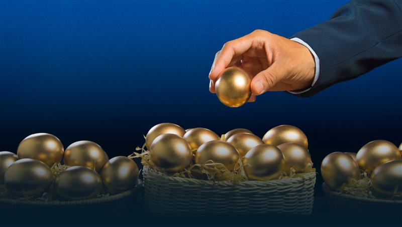 Don’t Put All Your Golden Eggs in One Basket- The Case for Diversification in 2026 2 The Case for Diversification in 2026