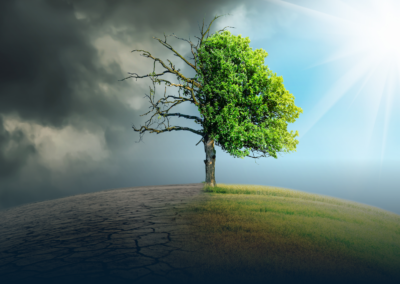 Overheated? Climate change, equities and volatility