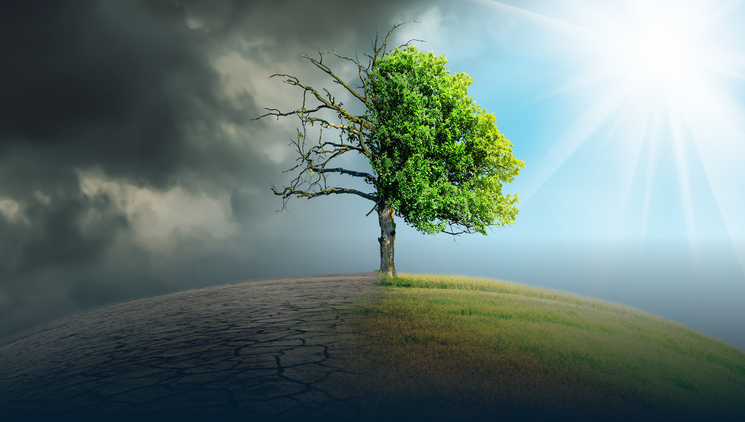 Overheated- Climate change, equities and volatility2