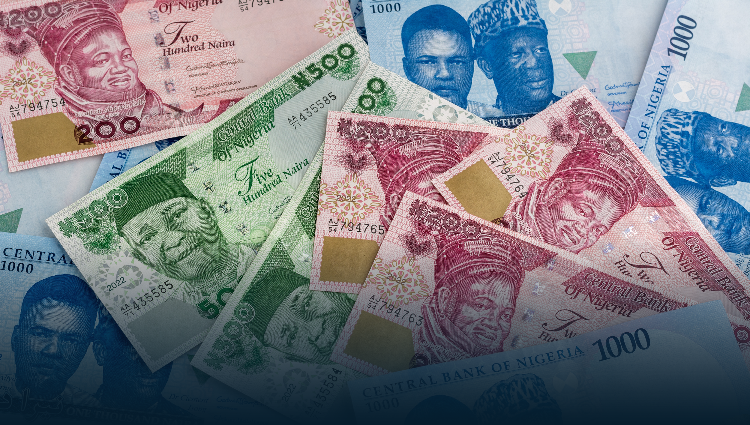 Nigeria, the naira, and African economic growth