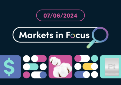 ECB starts to lift its gaze