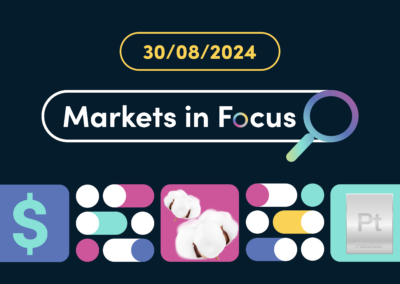 What caused the August flash crash?