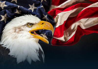 Swap Lines, Trust and the Politics of Dollar Liquidity